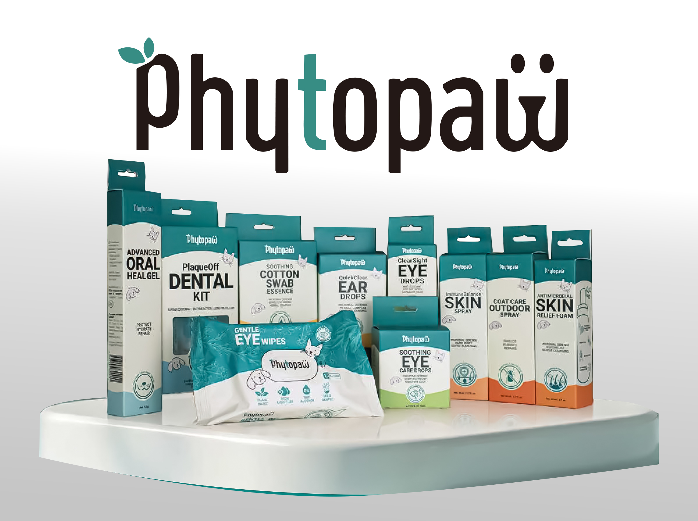 Aesthetic Connection